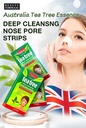Beauty Formulas Tea Tree Nose Pore Strips 6 Strips