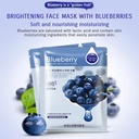 Hchana Blueberry Sheet Mask